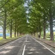 リオの画像