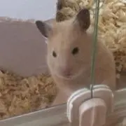 yunaの画像
