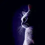 猫(=^x^=)の画像