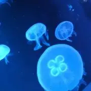 ゆんさんの画像