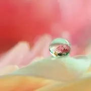 天国の階段 DVD Vol.7 - メルカリ