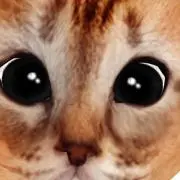 けっちー