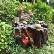 TKの画像