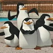 ペンギンズ