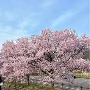 はなやん❤︎フォロー割400円引き☺︎の画像