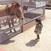 ちゃびんの画像
