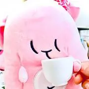 eccaの画像