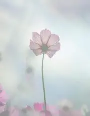 なつママ
