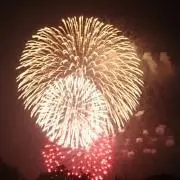 スズコウ