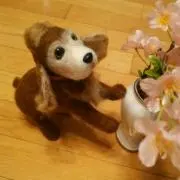 パックんの画像