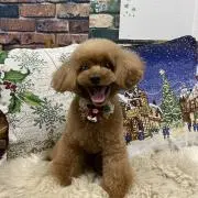 N♡C♡Cの画像