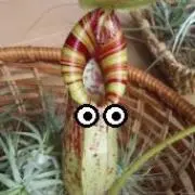 プロフ読んでの画像