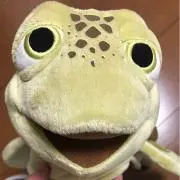 norintonの画像
