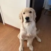 ムーラン