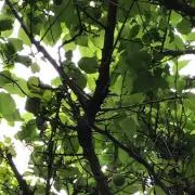 まいどの画像