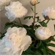m0216の画像