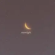 moonlight
