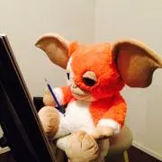 SHGの画像