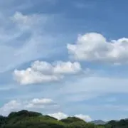 ゆーたんの画像