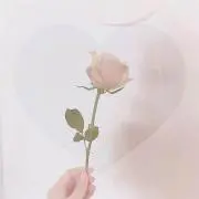♡の画像
