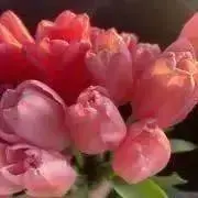s_315☆の画像