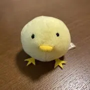 mago※プロフ確認お願いしますの画像