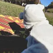 sreeeの画像