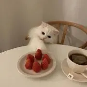 mの画像