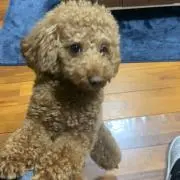 まり