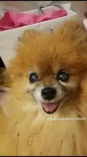 あーちゃんの画像