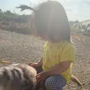 ゆいの
