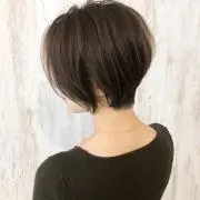 ごんぎつねの画像