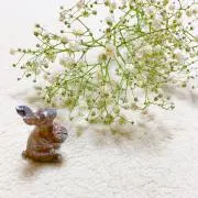 もんもんの画像