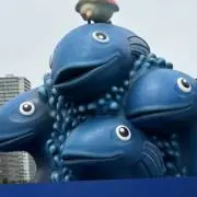 コウの画像