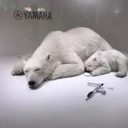 ジャイロ