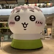 かこの画像