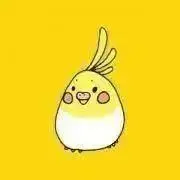 ましゃの画像