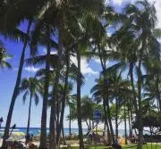 Raloha☆の画像