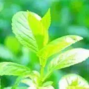 SDshop（プロフィール必読）の画像