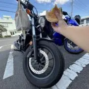 こうしの画像