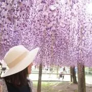 ありそんの画像