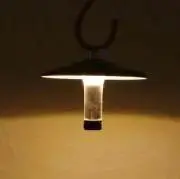 Image of 12131110