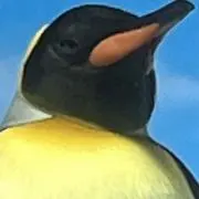 Image of サカリソト