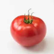 とまと