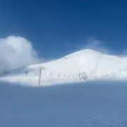 ちび姫の画像