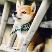 たあくんの画像