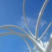 Rin  ※プロフ必読お願いします※の画像