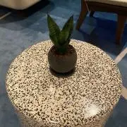 Suumi