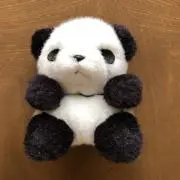 こむちゃんの画像