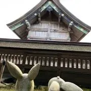 出雲の画像